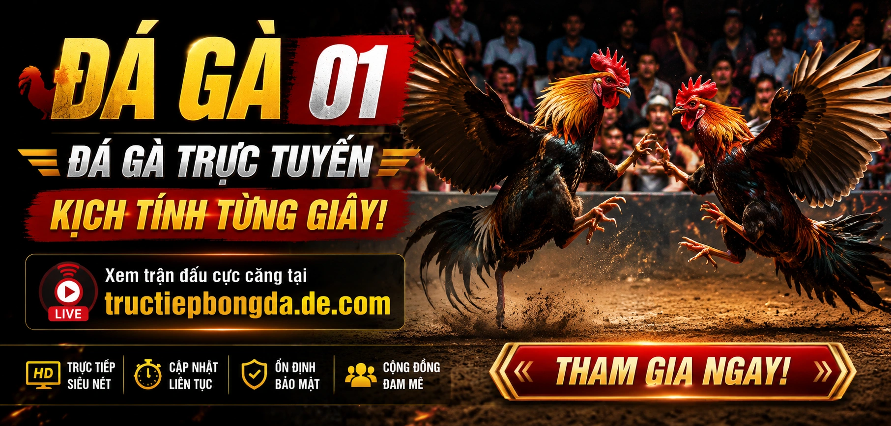 Đá gà trực tuyến tại tructiepbongda.de.com