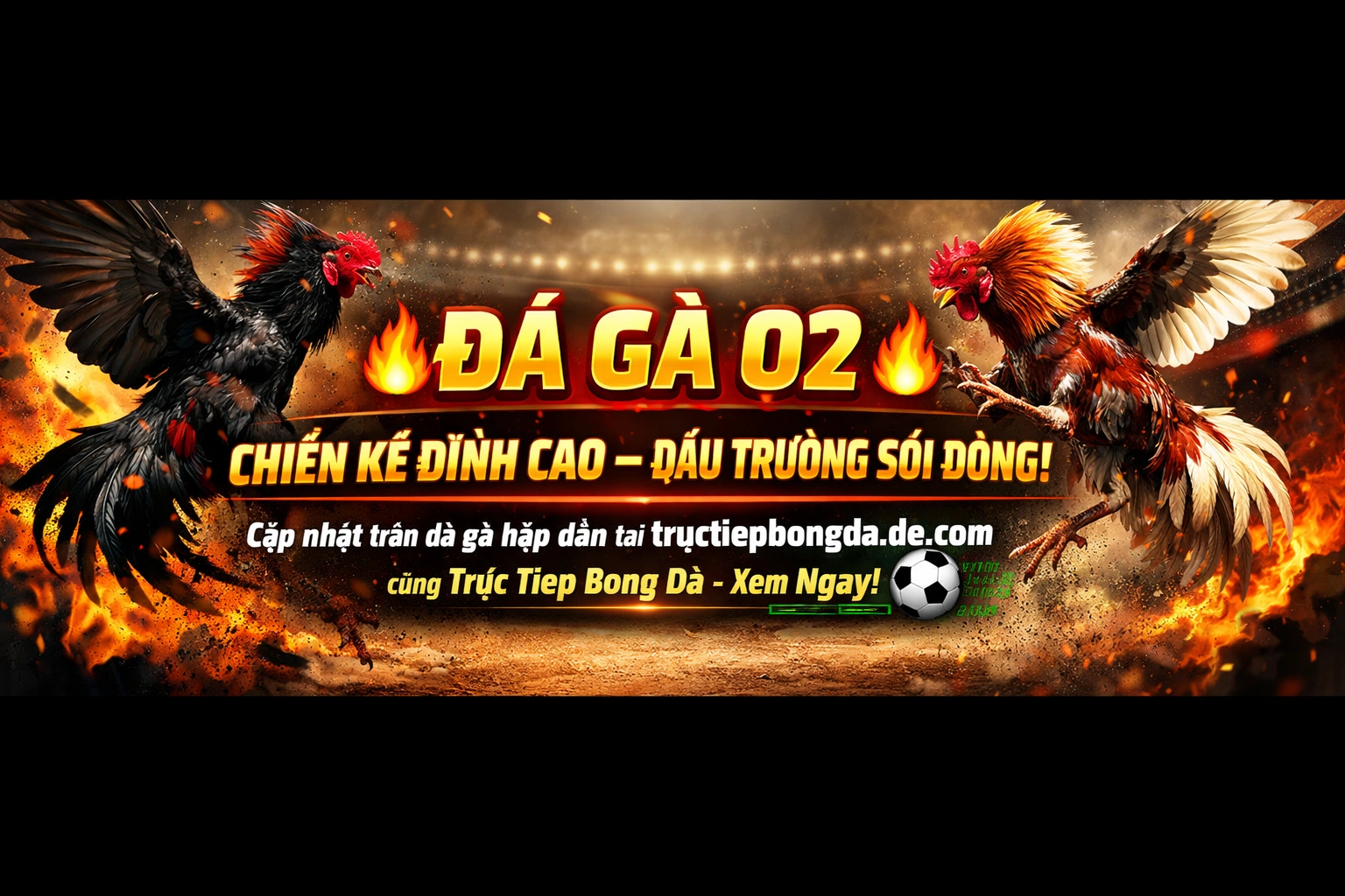Bảng kèo đá gà và tỉ lệ cập nhật