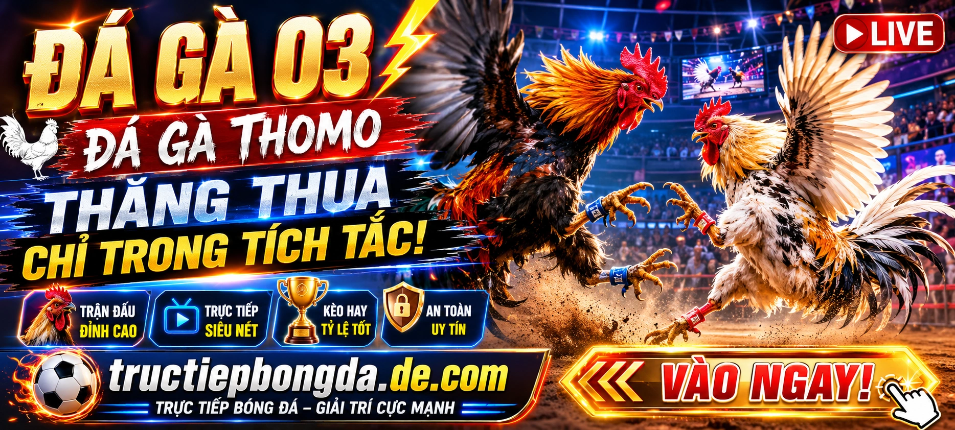 Xem trận đá gà Campuchia trên màn hình